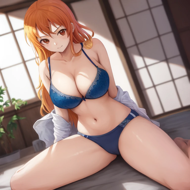 [Holara] Indoor Anime style One Piece Nami Bra [Illustration]